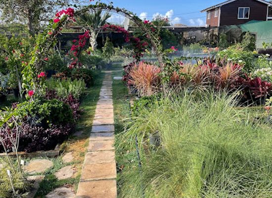 curacao/brievengat/attraction/tropical-garden