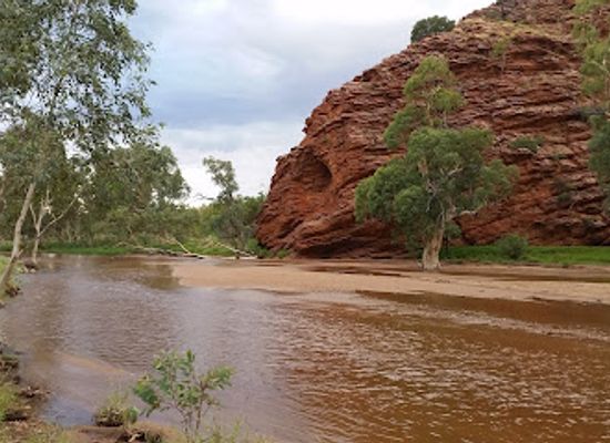 australia/macdonnell-ranges/attraction/ilparpa-swamp-wildlife-protected-area