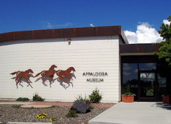 idaho/palouse/attraction/appaloosa-museum-heritage-center