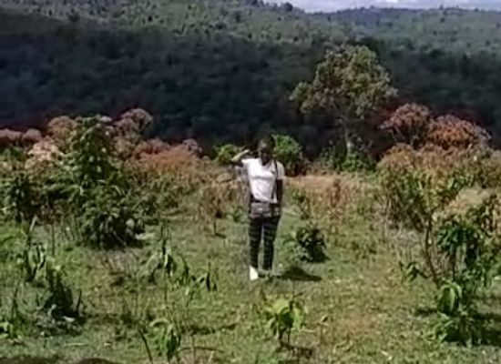 kenya/elgeyo-escarpment/attraction/mt-elgon-kaberwa-forest