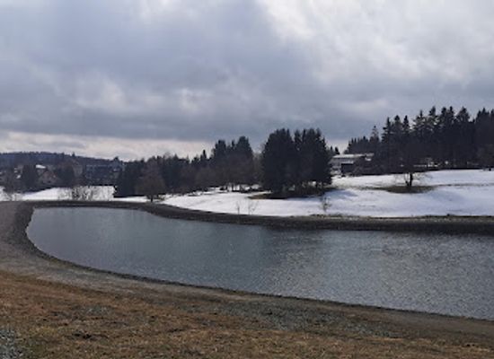 germany/thuringian-forest/attraction/wasserbecken-schmiedefeld