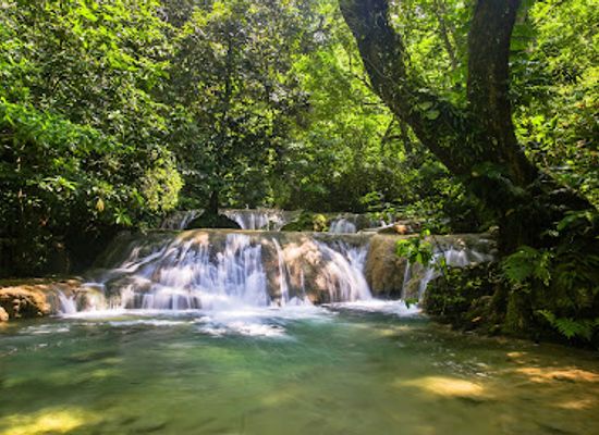vanuatu/lenakel/attraction/evergreen-cascades-waterfall