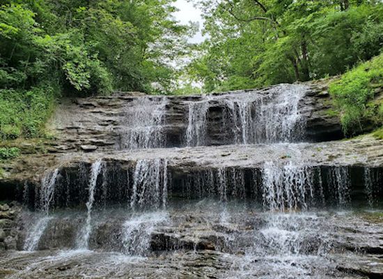 ohio/appalachian-ohio/attraction/fallsville-wildlife-area