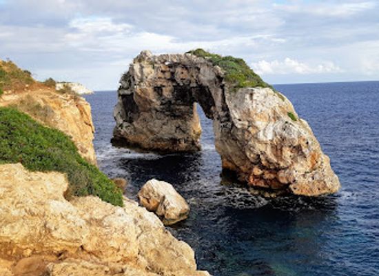 spain/balearic-islands/attraction/llotja-de-palma
