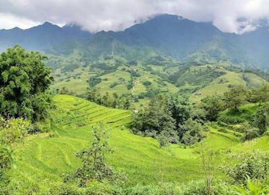 vietnam/sapa/attraction/san-sa-ho