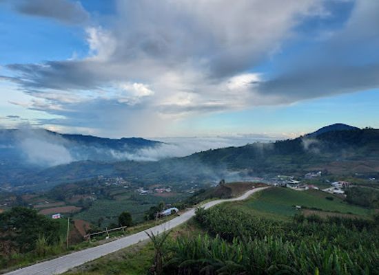 philippines/mt-apo/attraction/apo-flower-garden-mountain-resort