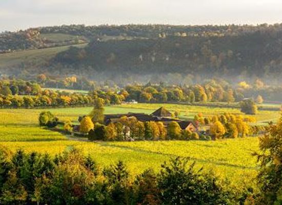 united-kingdom/london/attraction/denbies-wine-estate