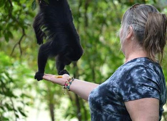 belize/belize-city/attraction/altun-ha-maya-ruins-and-community-baboon-sanctuary