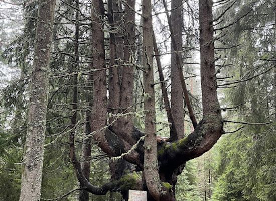 bulgaria/chepelare/attraction/Desette-bratya