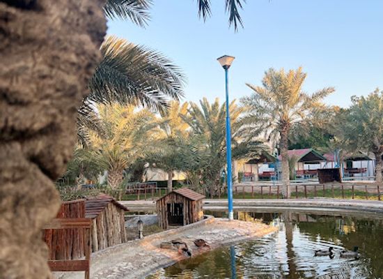kuwait/al-ahmadi-governorate/attraction/dar-marafie-farm