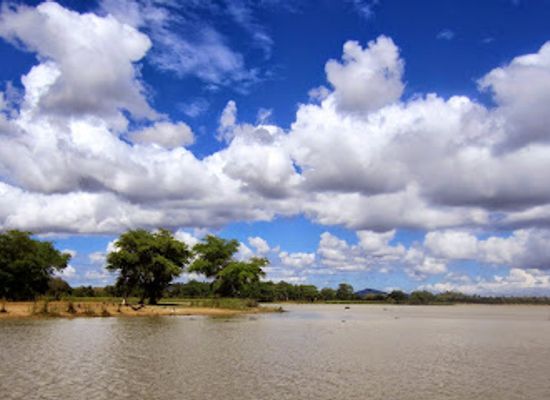 malawi/southern-region/attraction/vwaza-marsh-wildlife-reserve