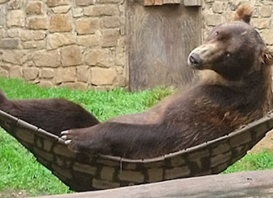 czechia/north-moravia/attraction/decin-zoo