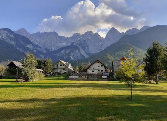 slovenia/bohinj/attraction/gozd-martuljek