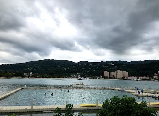 jamaica/north-coast/attraction/dolphin-cove-moon-palace-jamaica