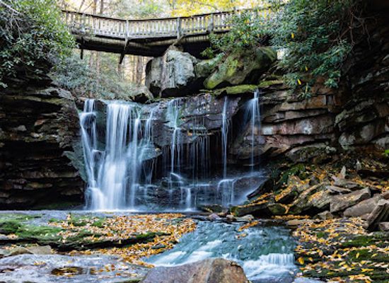 west-virginia/canaan-valley/attraction/elakala-trail