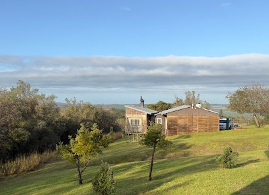 south-africa/route-62/attraction/grootvadersbosch-nature-reserve