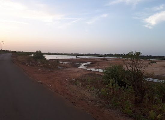 the-gambia/serrekunda/attraction/tanbi-wetland-national-park