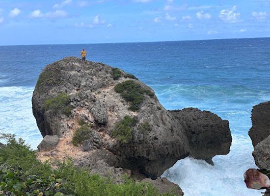 puerto-rico/aguadilla/attraction/survival-beach