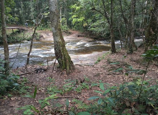 colombia/vaupes-department/attraction/cano-sangre