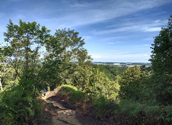 brunei/brunei-muara-district/attraction/bukit-sarang-helang