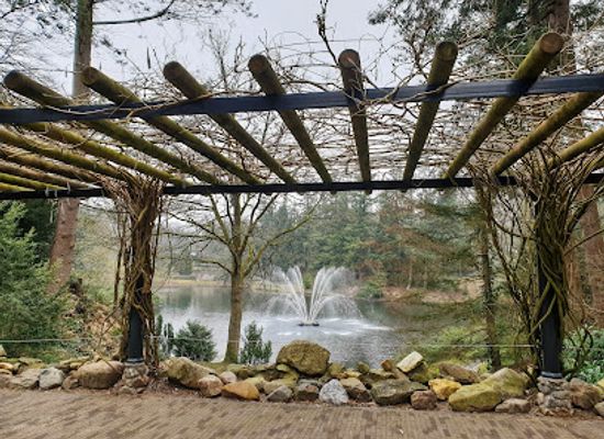 netherlands/veluwe/attraction/wild-boar-park-berg-en-bos