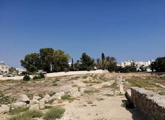 cyprus/tylliria-region/attraction/archaeological-site-of-kition