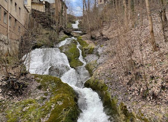 switzerland/st-gallen/attraction/mulenenschlucht