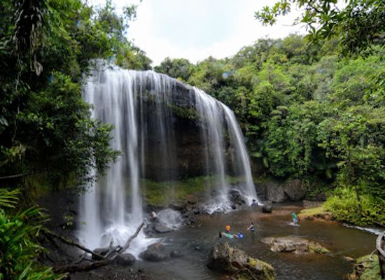palau/angaur/attraction/ngardok-nature-reserve