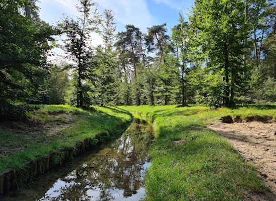netherlands/vechtstreek/attraction/loenense-waterval