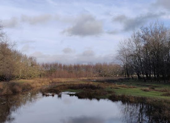 netherlands/bollenstreek/attraction/kabouterpad-hollands-duin