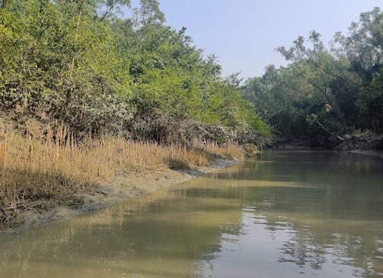 bangladesh/sundarbans/attraction/kuakata-sea-beach-little-far-from-zero-point