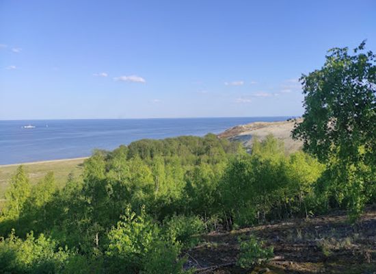 lithuania/curonian-spit-national-park/attraction/parnidis-educational-track