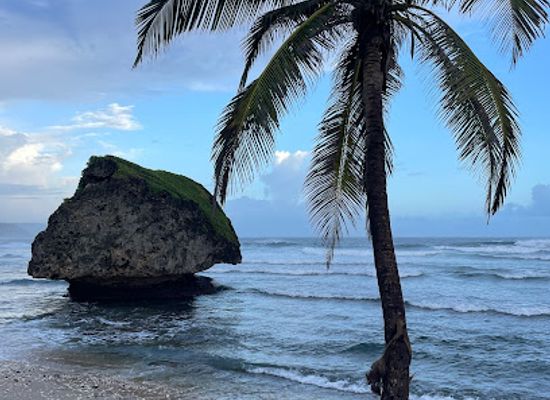 barbados/oistins/attraction/landsharks246-tours-adventures-fitness-healthy-lifestyle-nutrition-coaching