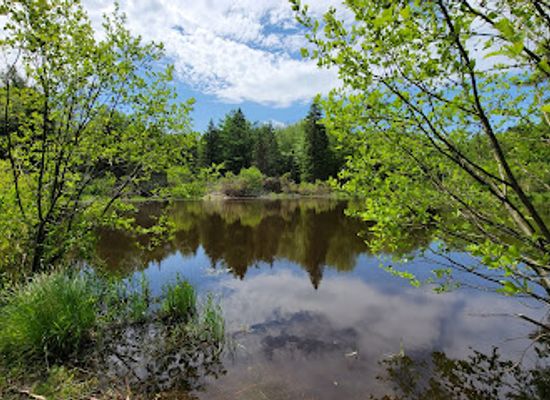 connecticut/housatonic-valley/attraction/topsmead-state-forest