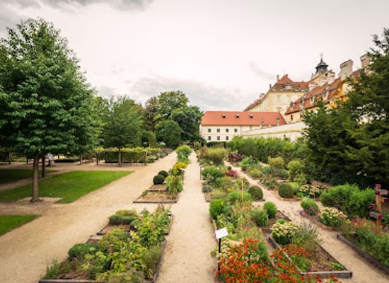 czechia/south-moravia/attraction/herb-garden-lu-tiree-chmelar