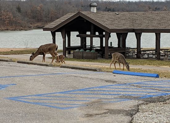 missouri/kirksville/attraction/thousand-hills-state-park