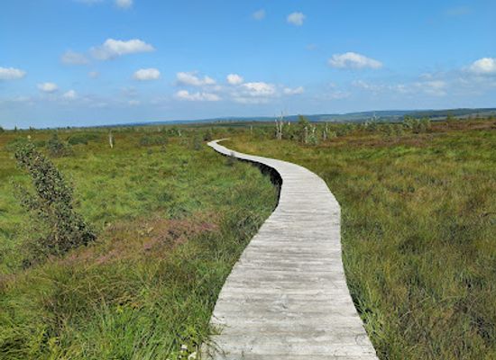 belgium/hautes-fagnes/attraction/la-maison-du-parc-botrange