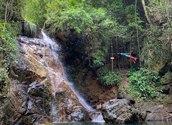 puerto-rico/mayaguez-region/attraction/bosque-estatal-de-maricao