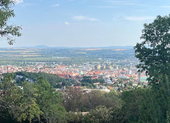 hungary/mecsek/attraction/pecs-zoo