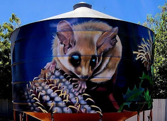 australia/northern-victoria/attraction/woomelang-silo-art-trail