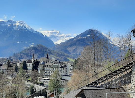 switzerland/bernese-oberland/attraction/alpine-wildlife-park-interlaken