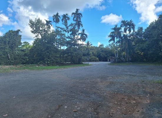 palau/babeldaob/attraction/ngetmeduch-park