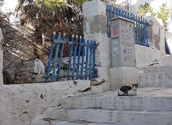 greece/naxos/attraction/cat-staircase