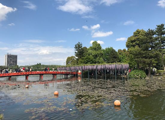 japan/tsushima/attraction/tennogawa-park