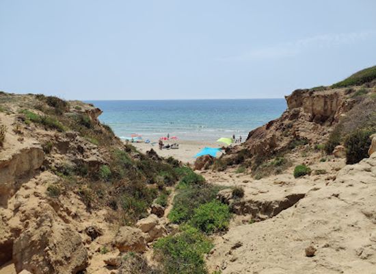 israel/hadera/attraction/beit-gidul-tzvi-yam