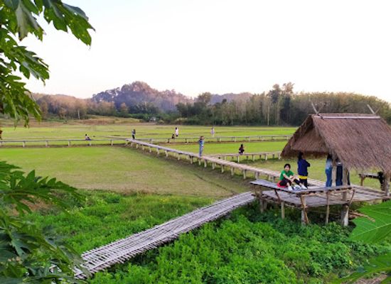 thailand/northern-thailand/attraction/bamboo-walkway-through-rice-field