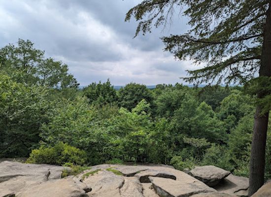 ohio/cuyahoga-valley-national-park/attraction/ledges-trailhead