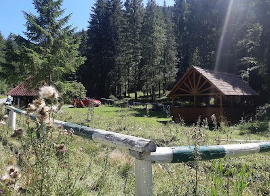 romania/bistrita-nasaud/attraction/lung-forras-borvizforras