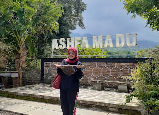 indonesia/java/attraction/vw-wisata-borobudur