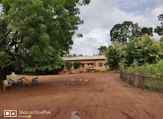 togo/oti-river-valley/attraction/plantation-odef-essence-teck